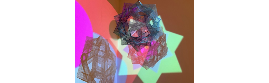 Lincoln Austin artist talk RMOA web banner_ - Black Star,White Bird 2024, courtesy the artist.jpg