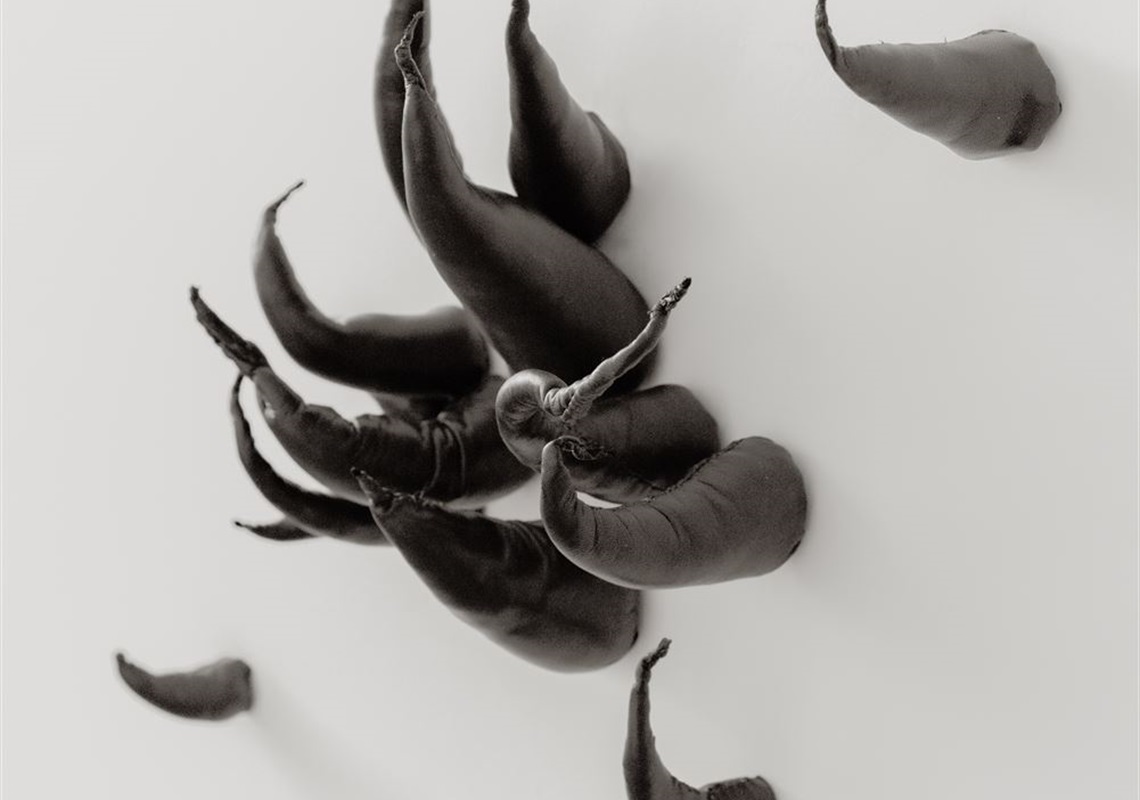 Talitha-Kennedy_Intimate-Primordial-Buds_2025_Photo-Quality-Documentation.jpeg