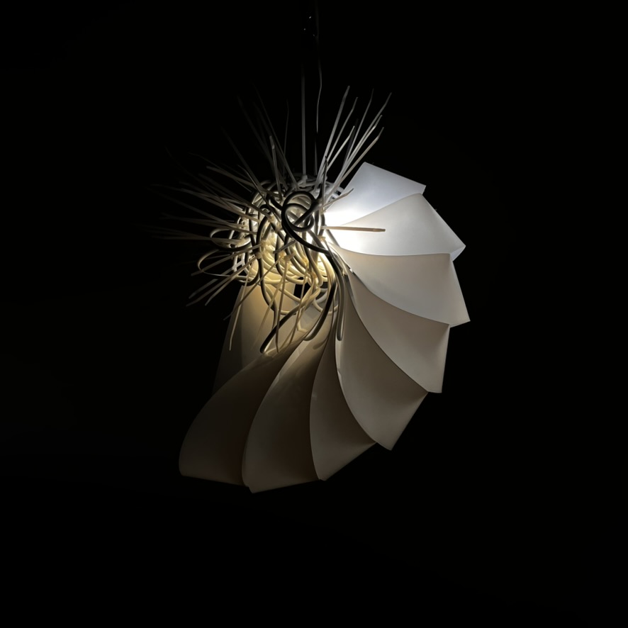 ANGUS, MARK_Much Is Life 1.jpeg